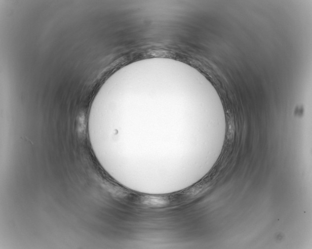 X0000093110610200710241243