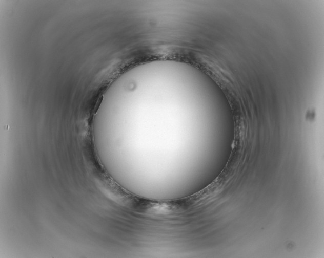 X0000093110611200710241243