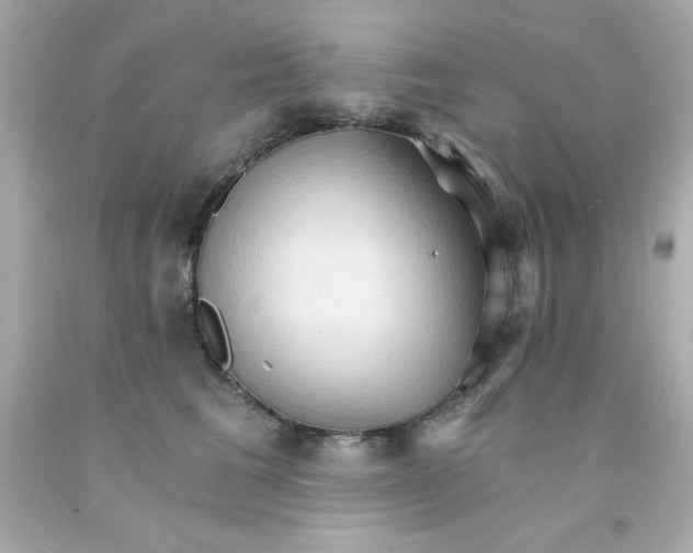 X0000093110613200710241243