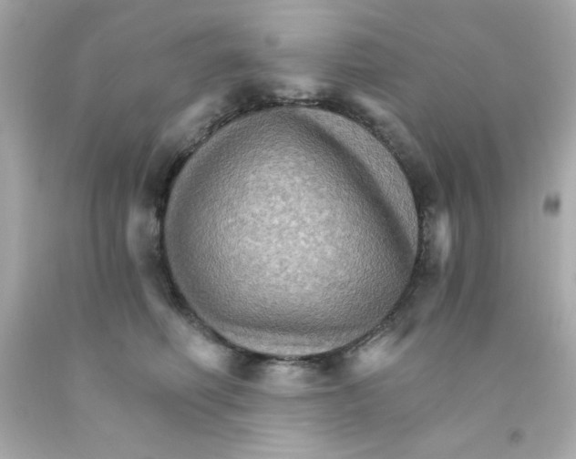 X0000093110614200710241243