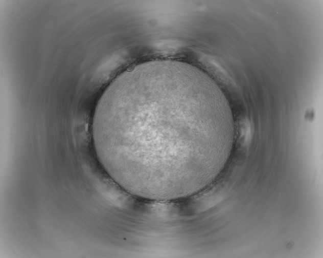 X0000093110615200710241243