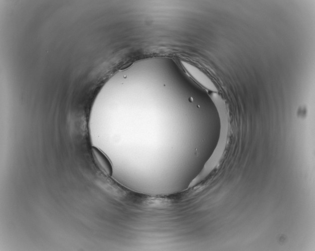 X0000093110617200710241243