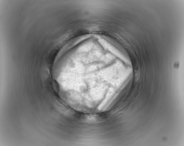 X0000093110618200710241243