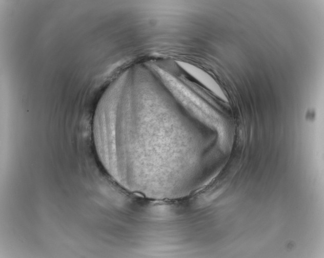 X0000093110620200710241243