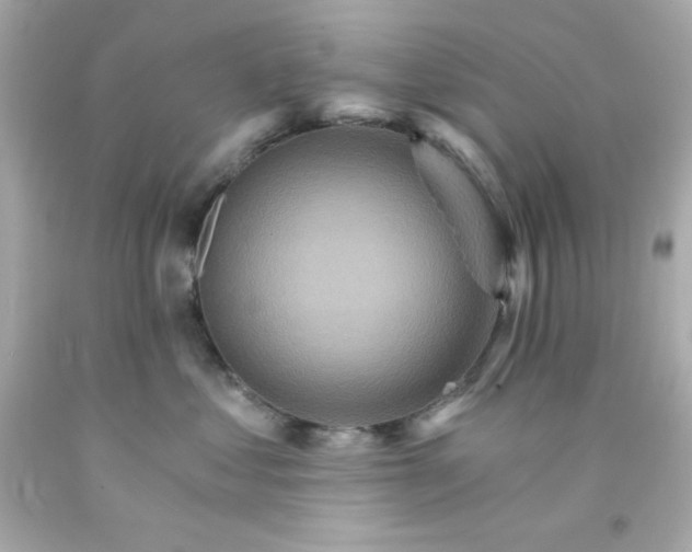 X0000093110621200710241243