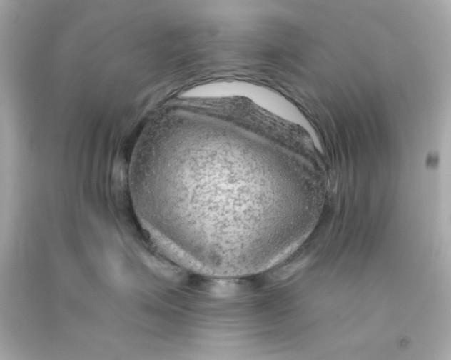 X0000093110623200710241243