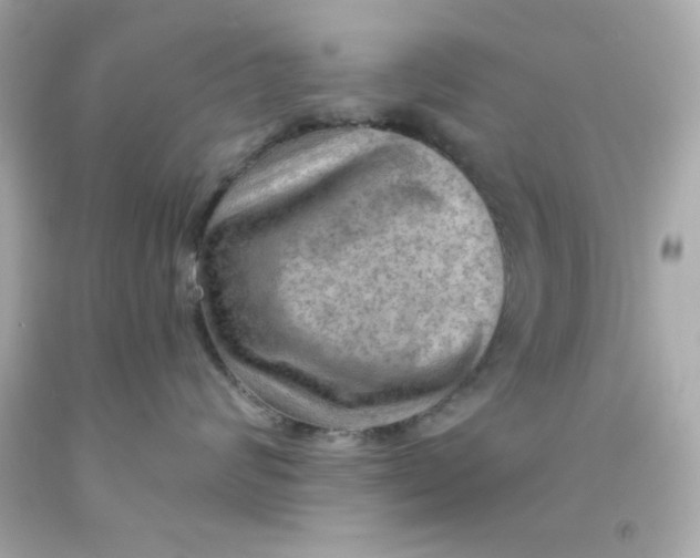 X0000093110624200710241243