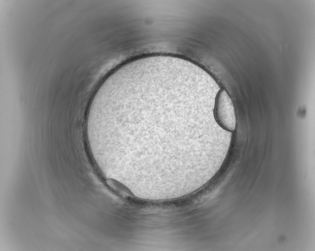 X0000093110625200710241242