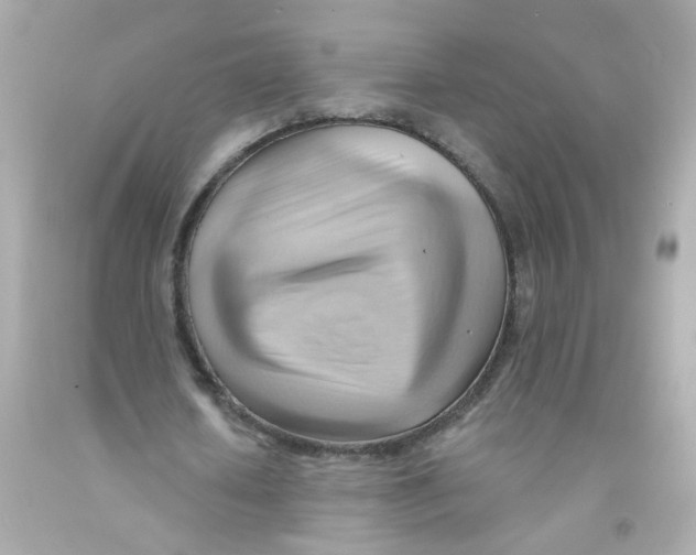 X0000093110626200710241242