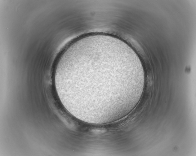 X0000093110628200710241242