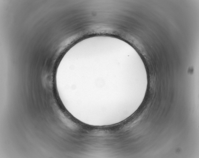 X0000093110629200710241242