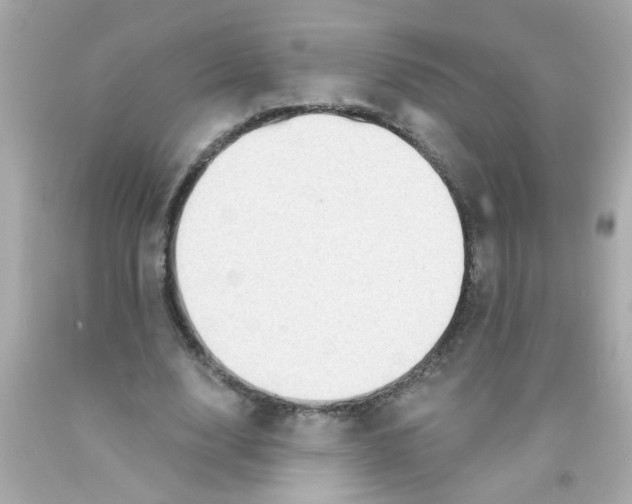 X0000093110632200710241243