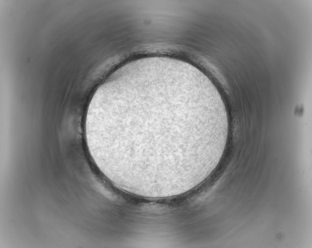 X0000093110633200710241243