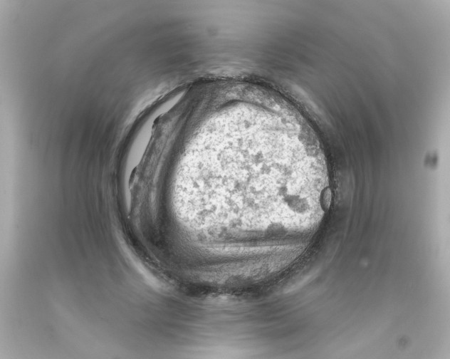 X0000093110634200710241243