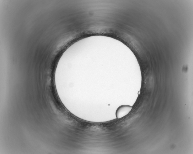 X0000093110635200710241243