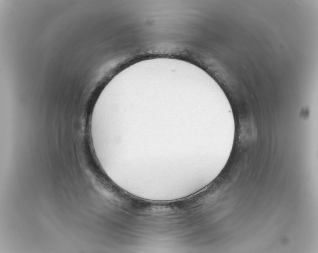 X0000093110636200710241243