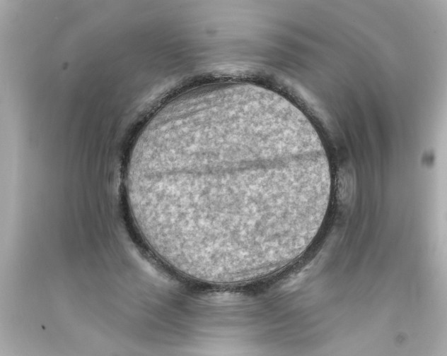 X0000093110637200710241243