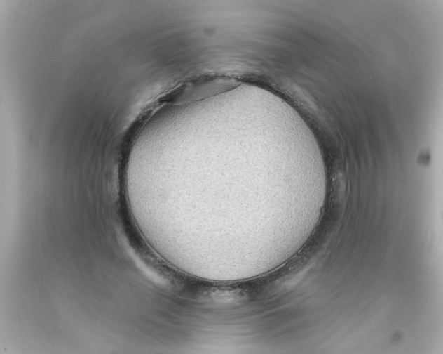 X0000093110638200710241243