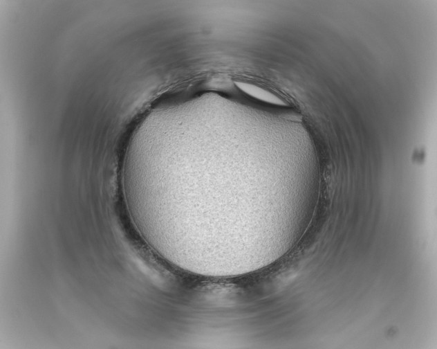 X0000093110642200710241243