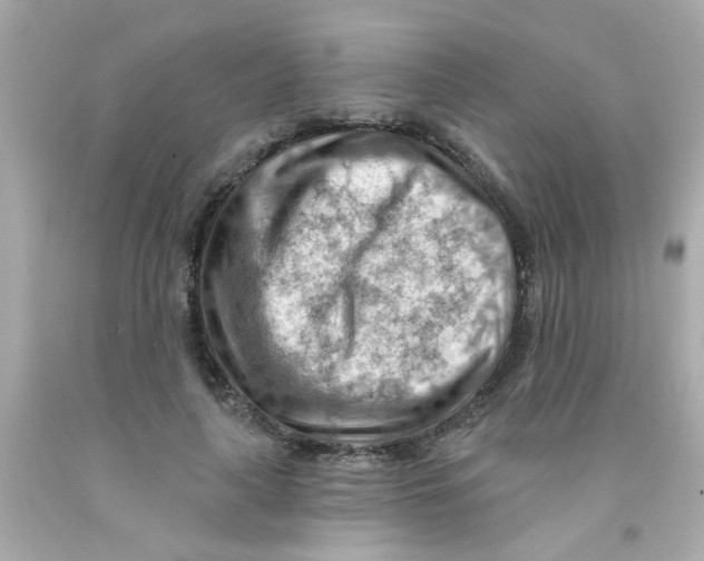 X0000093110643200710241243