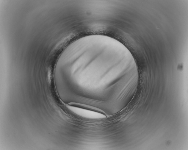 X0000093110644200710241243