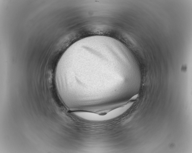 X0000093110646200710241243