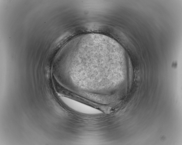 X0000093110648200710241243