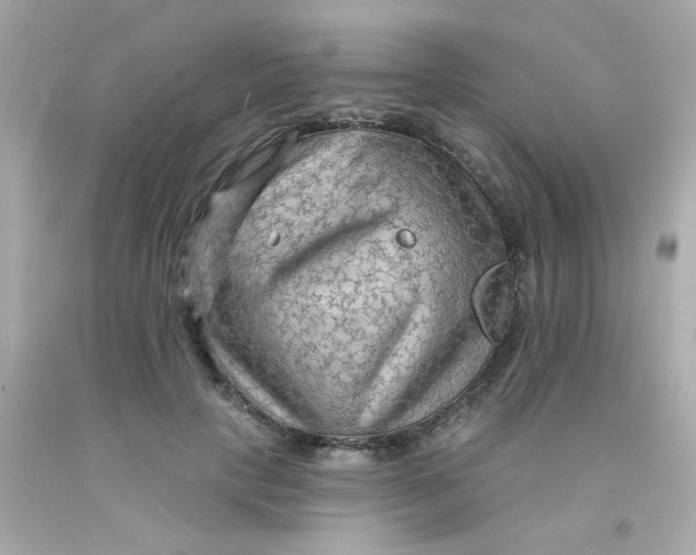 X0000093110649200710241243