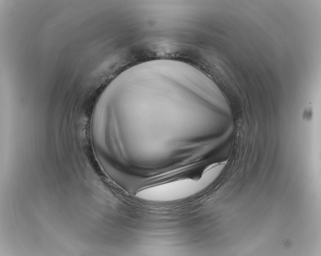 X0000093110650200710241243