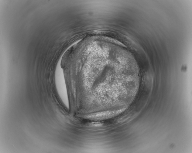 X0000093110651200710241243