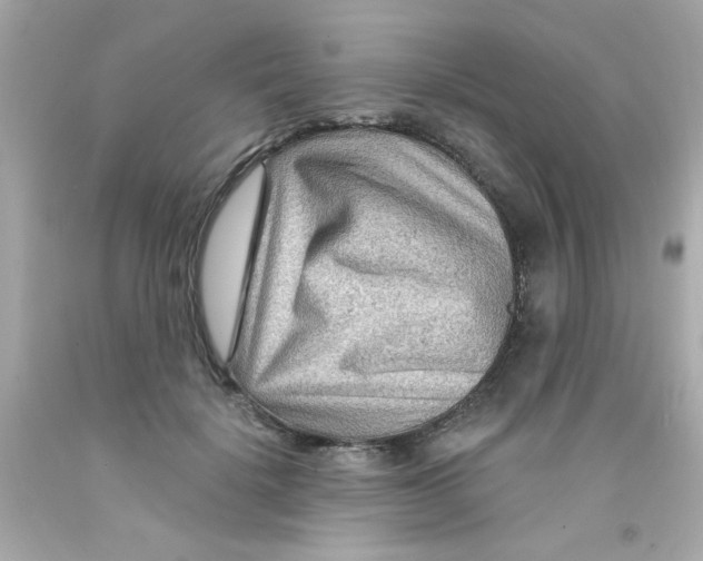 X0000093110652200710241243