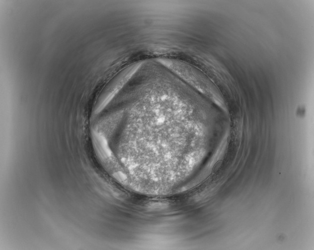 X0000093110653200710241243