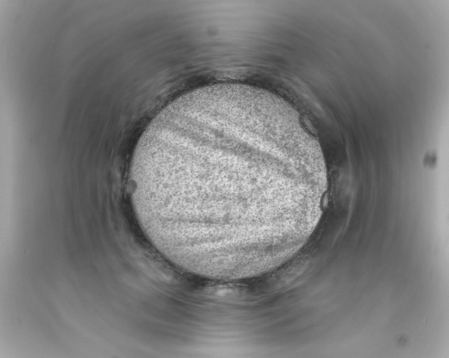 X0000093110655200710241243