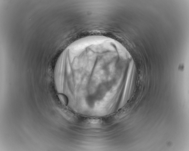 X0000093110659200710241243