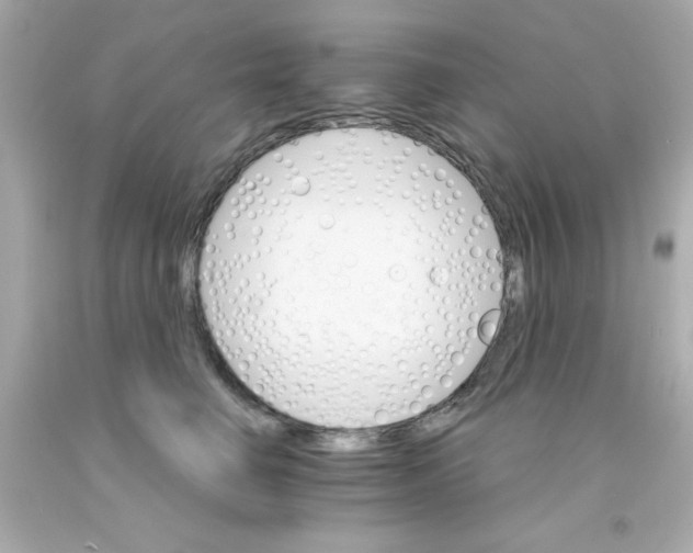 X0000093110662200710241243