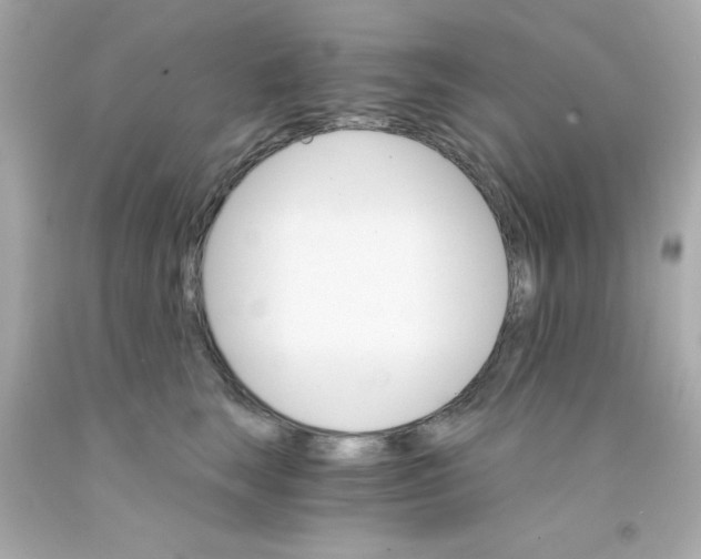 X0000093110663200710241243