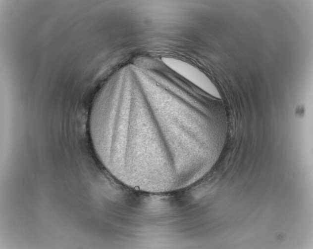 X0000093110664200710241243