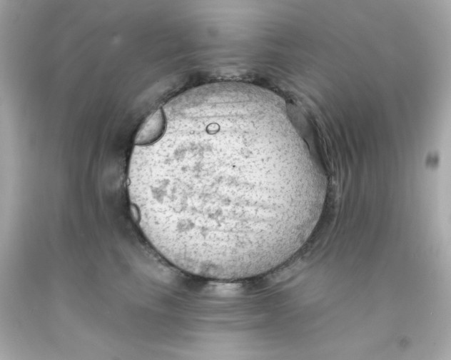 X0000093110665200710241243