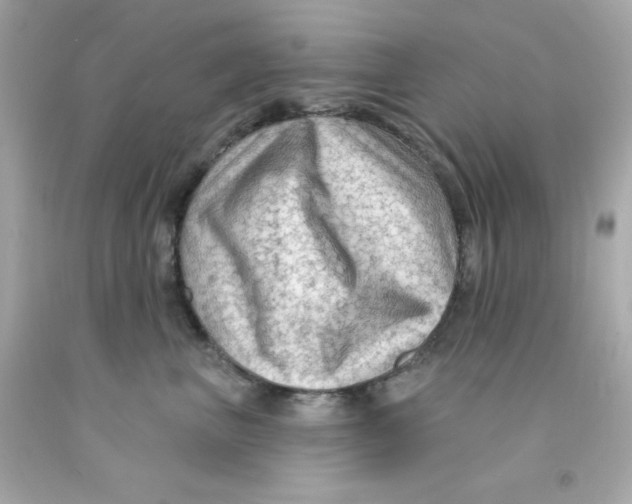 X0000093110667200710241243