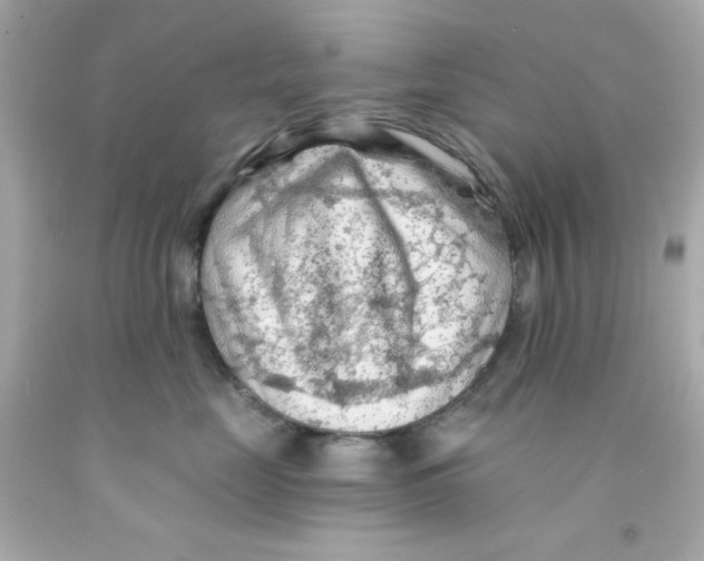 X0000093110669200710241243