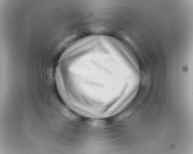 X0000093110670200710241243