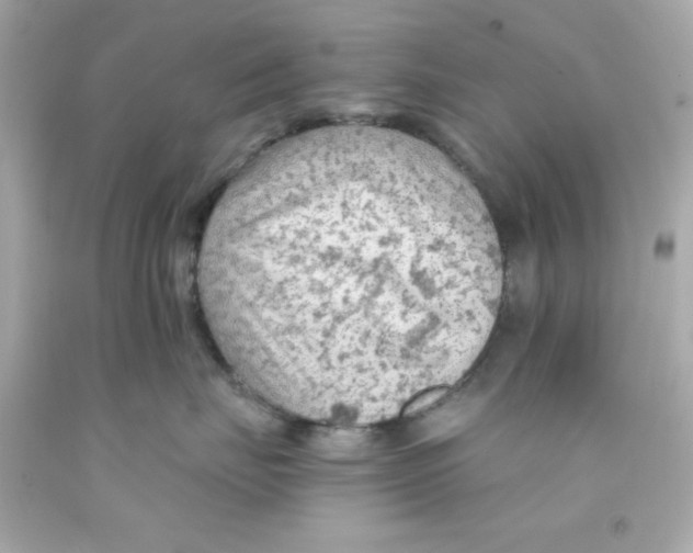 X0000093110671200710241243