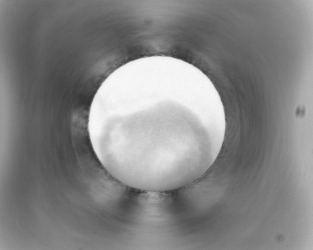 X0000093110672200710241243