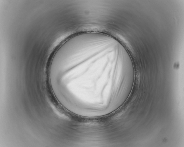 X0000093110674200710241242