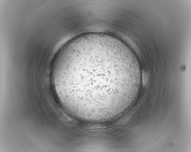 X0000093110675200710241242