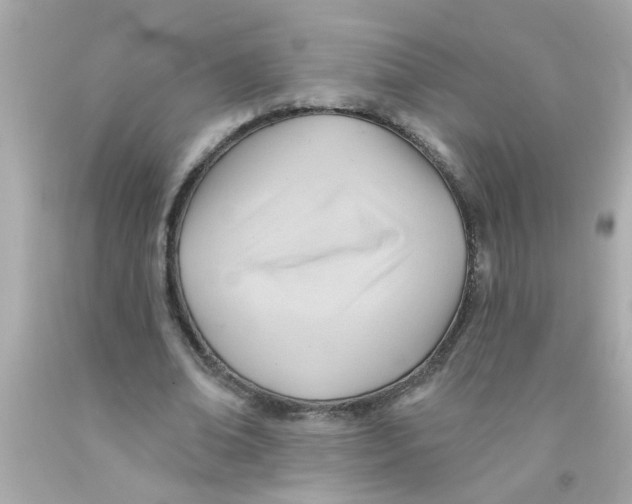 X0000093110678200710241242