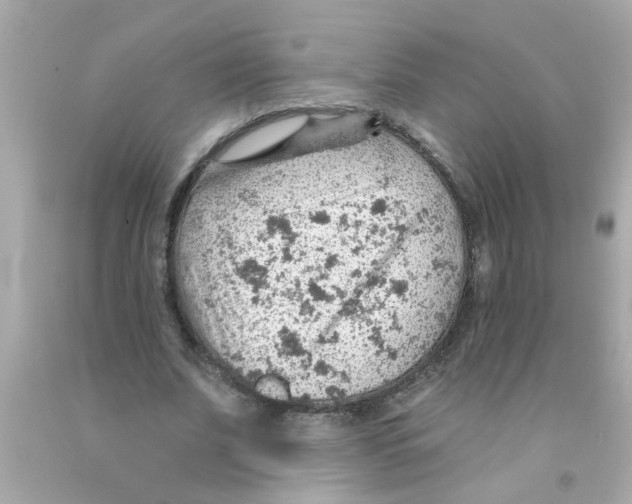 X0000093110679200710241242