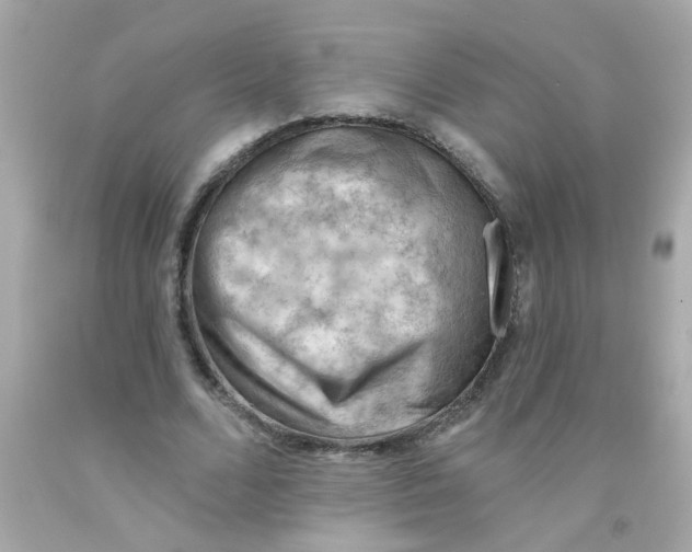 X0000093110680200710241242