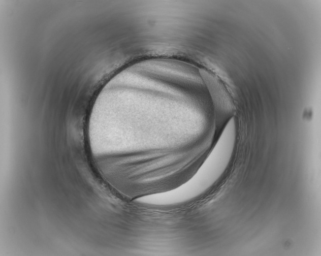 X0000093110681200710241242