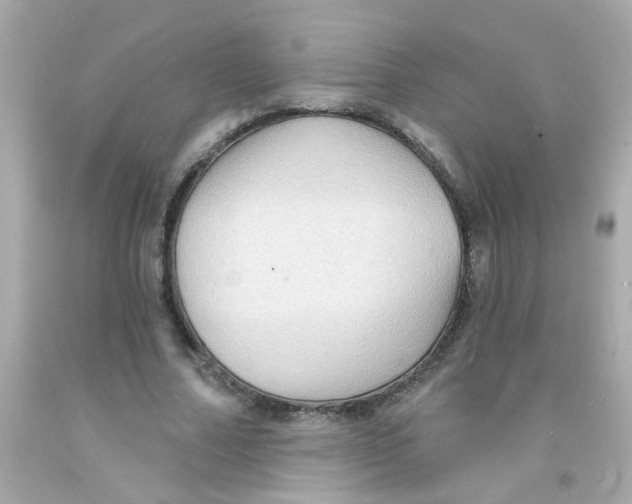 X0000093110682200710241242